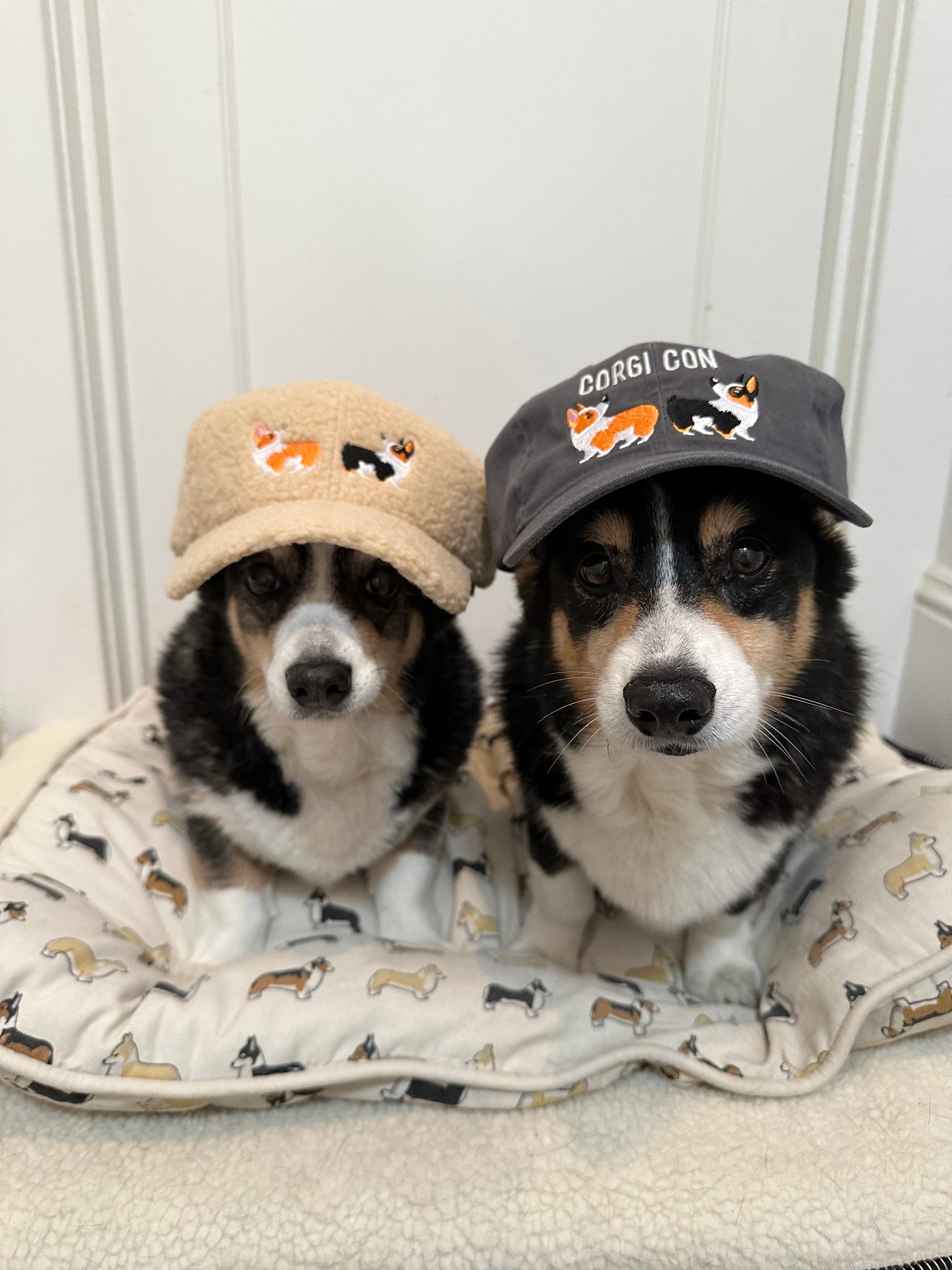 Fuzzy Wuzzy Corgi Con Logo Hat
